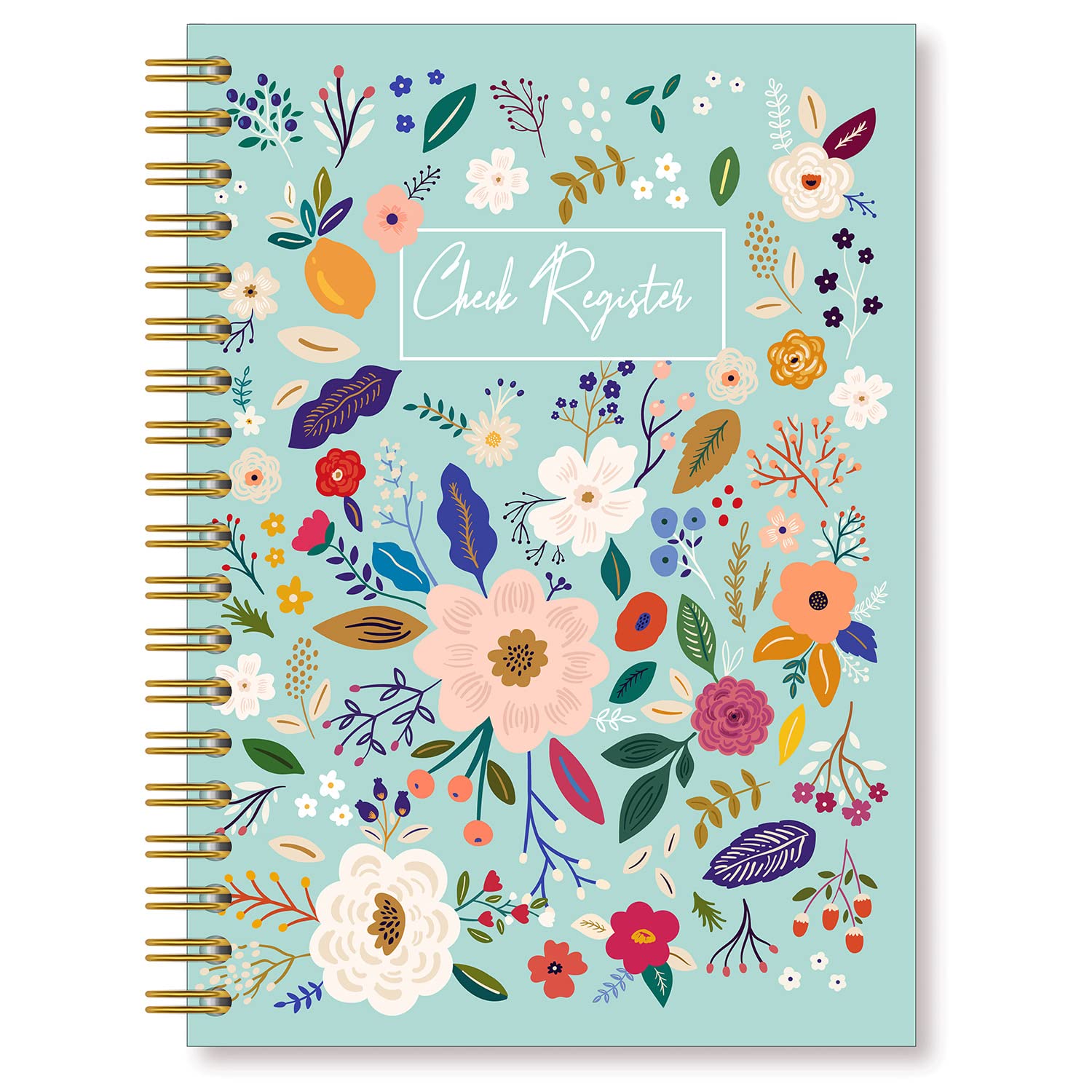 Financial Ledger & Check Register - 5.5x8.2