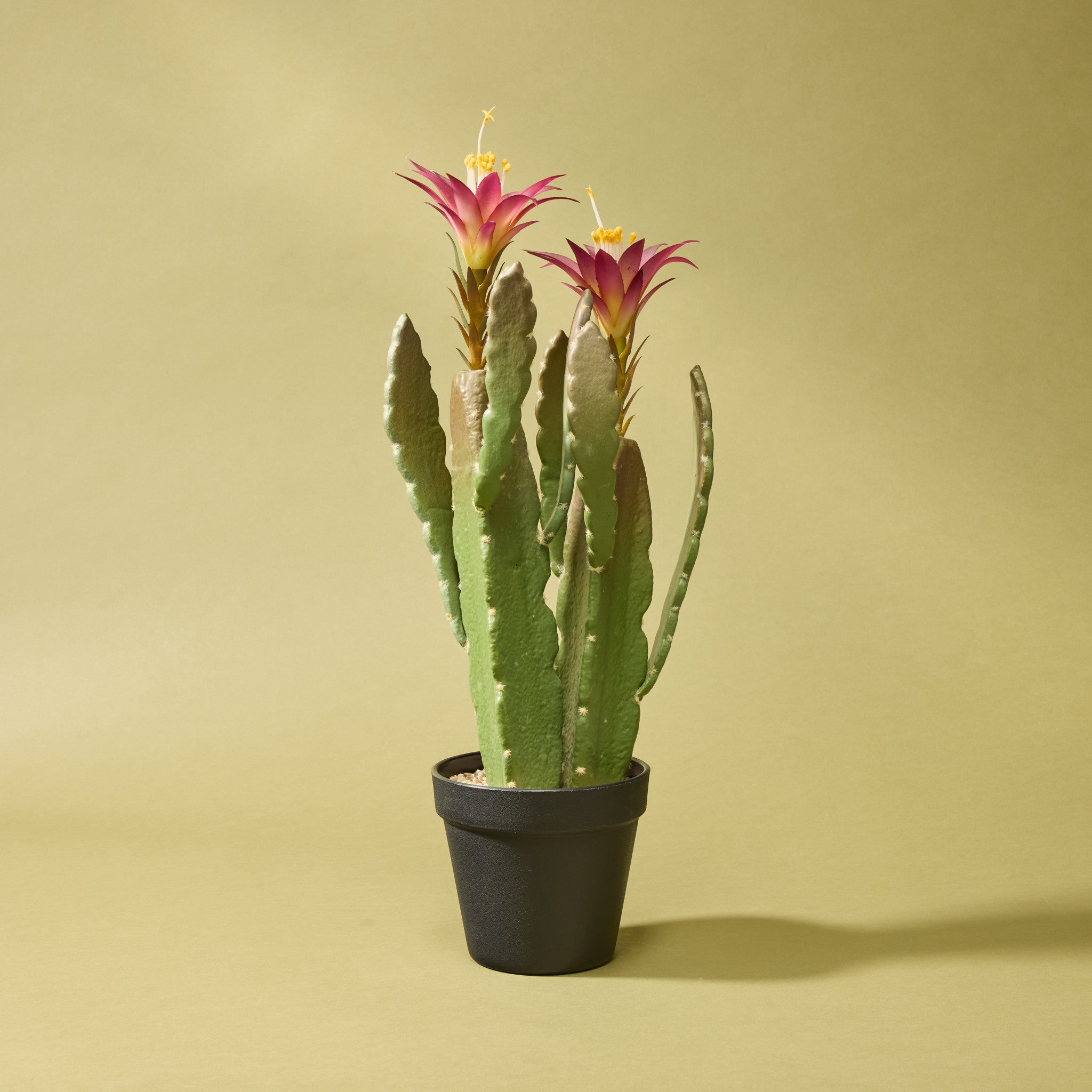 Artificial Flowering Cactus in Decorative Garden Pot - 18.5 Inches Tall | Perfect for Home Decor, Office Desk & Outdoor Patio Decorations