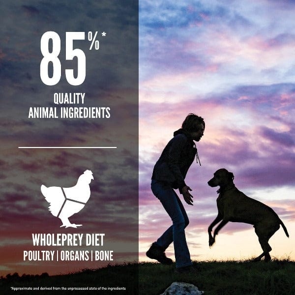 Orijen Puppy Large Breed Dry Dog Food - High Protein Grain-Free Puppy Food for Large Breed Dogs - Perfect for Active Puppies & Growing Dogs