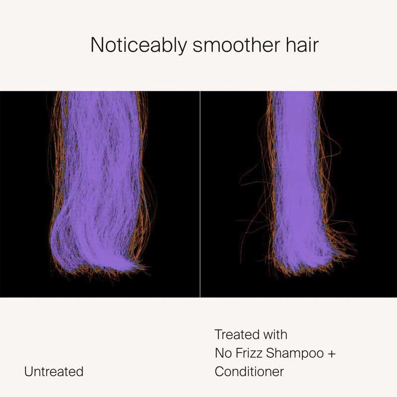 Living Proof No Frizz Shampoo for Smooth, Shiny Hair - Perfect for Dry, Damaged & Curly Hair Types - Salon Quality Frizz Control at Home