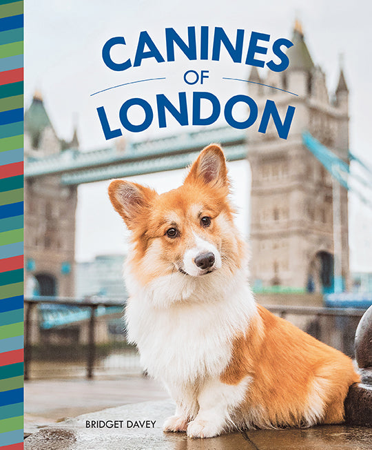 Canines of London - Premium Dog Accessories & Apparel | Perfect for Walks, Training & Grooming