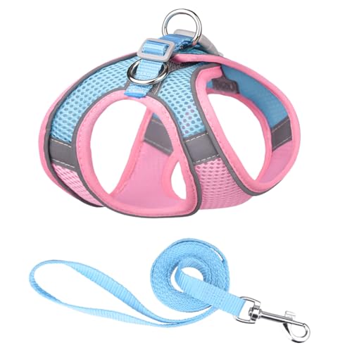Pink and Blue