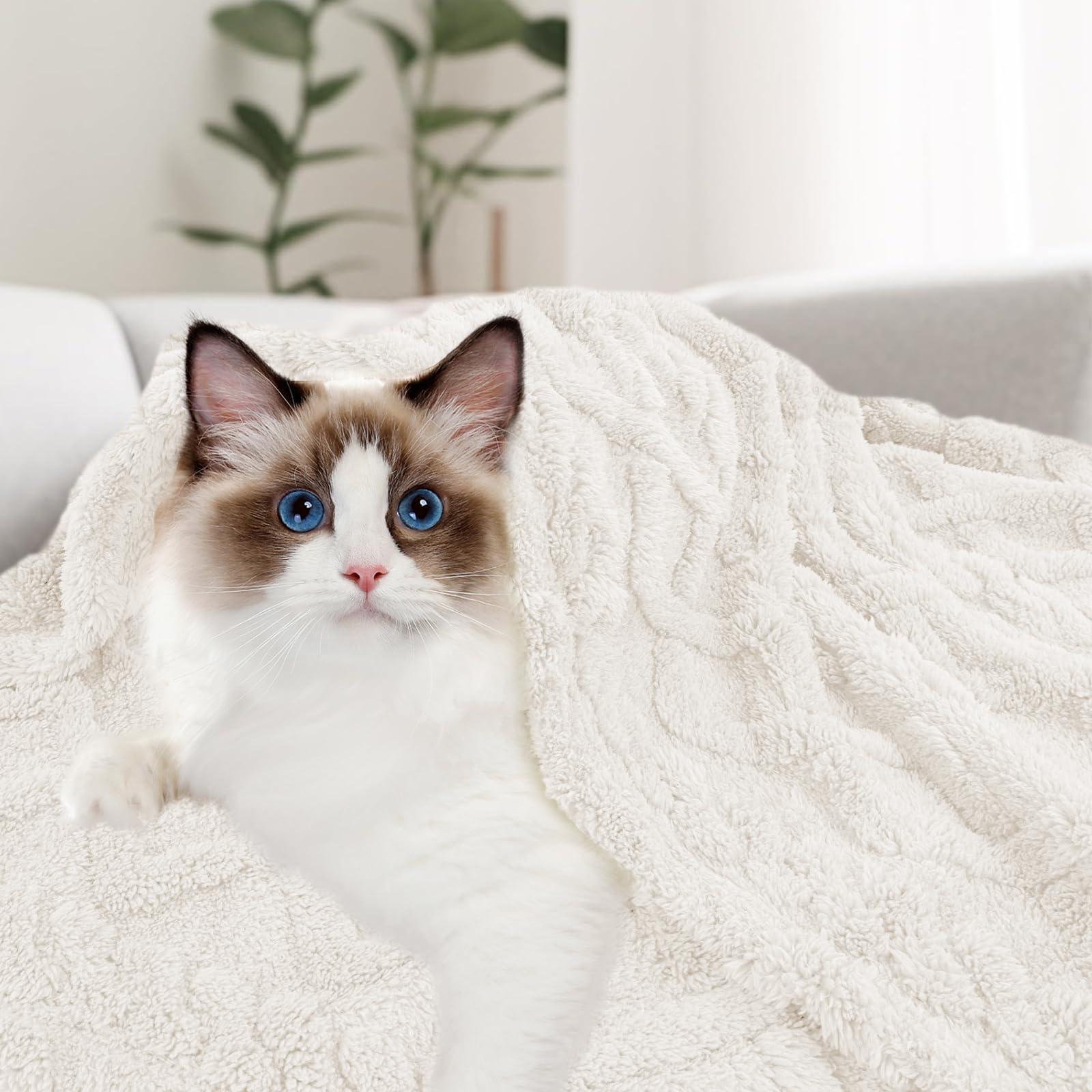 MACEVIA Fluffy Fleece Dog Blanket - Ultra Soft Warm Pet Blanket for Small Medium Large Dogs & Cats - Cozy Plush Throw for Bed, Couch, Sofa & Travel - Perfect for Winter Nights & Cuddling (24x29 Inches, Beige)
