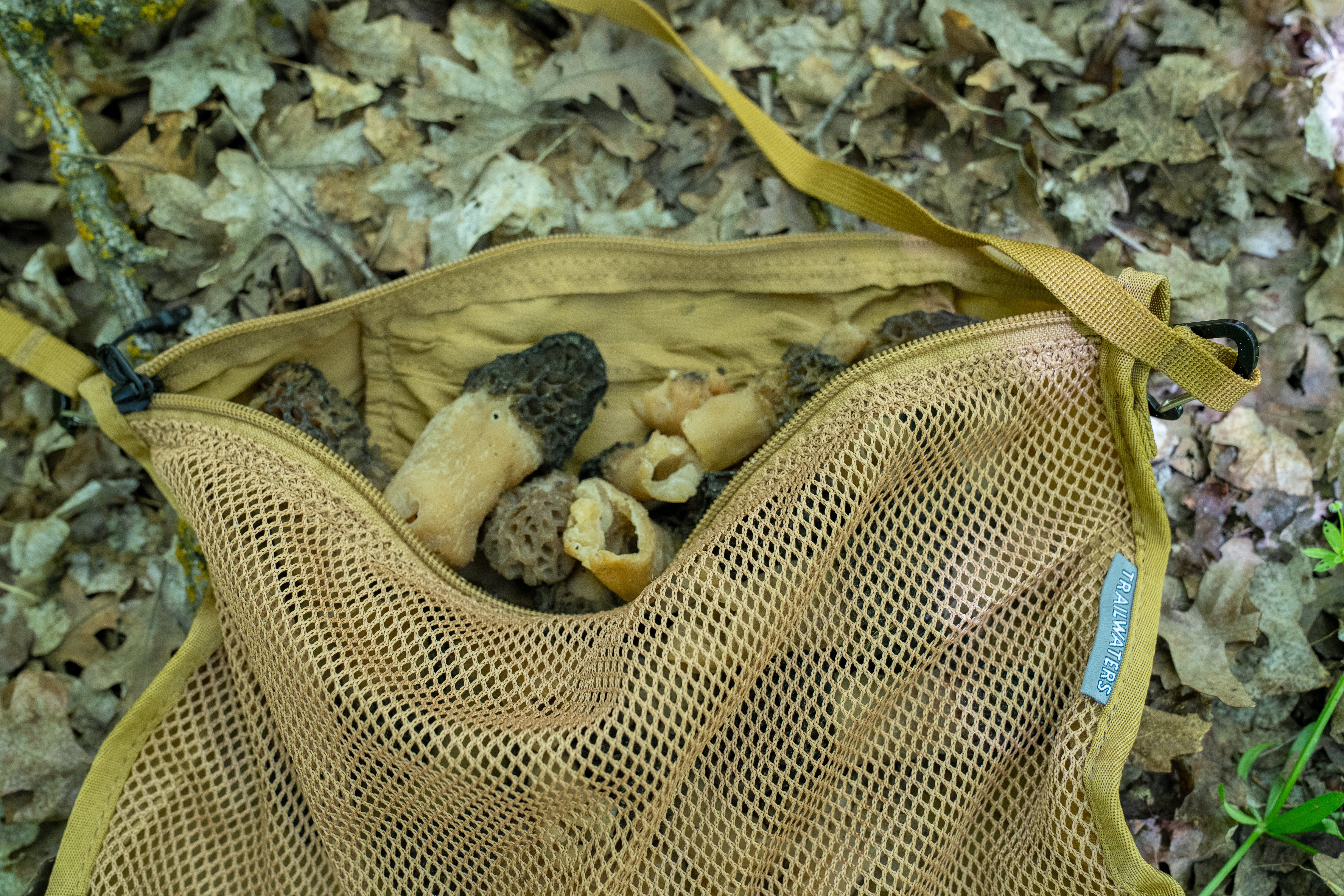 Forager Bag - Durable & Lightweight Gathering Pouch for Outdoor Hiking, Camping & Wildcrafting | Perfect for Mushroom Hunting, Berry Picking & Nature Exploration