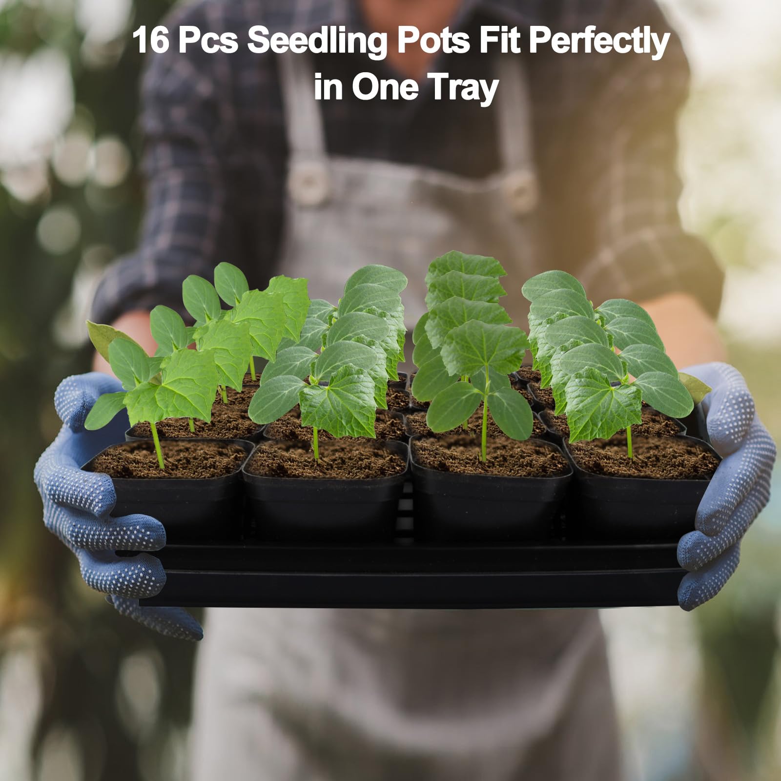 80Pcs 2.5 Inch Square Seed Starter Pots with 5Pcs Seedling Trays - Plant Nursery Propagation Kit with Drain Holes for Indoor Gardening, Herb Growing, and Flower Seed Germination - Perfect for Home Gardeners and Beginners