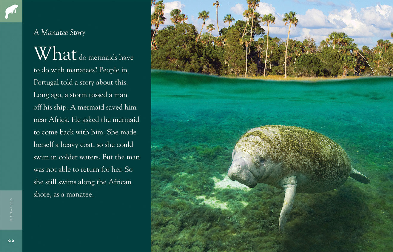 Amazing Animals (2014): Manatees - Gentle Sea Cows Documentary | Wildlife & Marine Life Education | Perfect for Nature Lovers & Classroom Learning