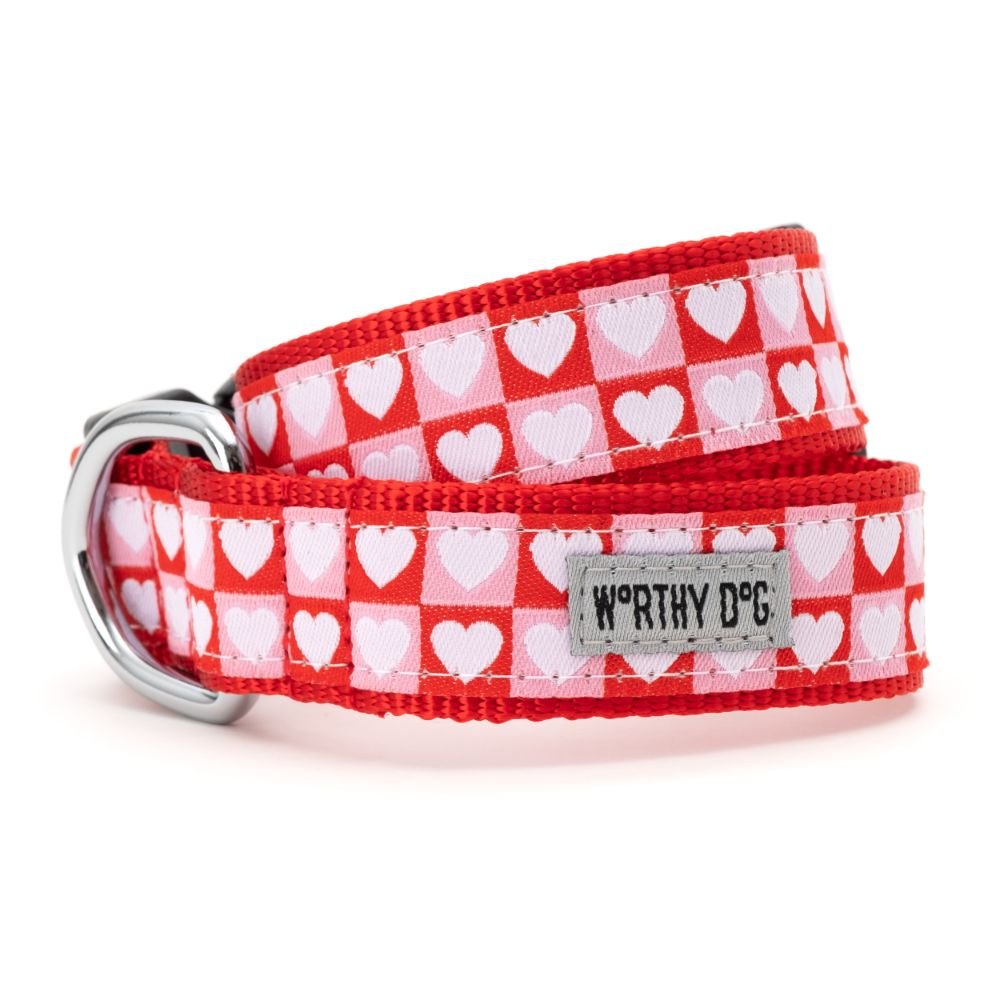 Colorblock Hearts Dog Collar and Leash Set - Stylish and Durable Pet Accessories for Small, Medium & Large Dogs - Perfect for Walks, Training & Fashion Outfits