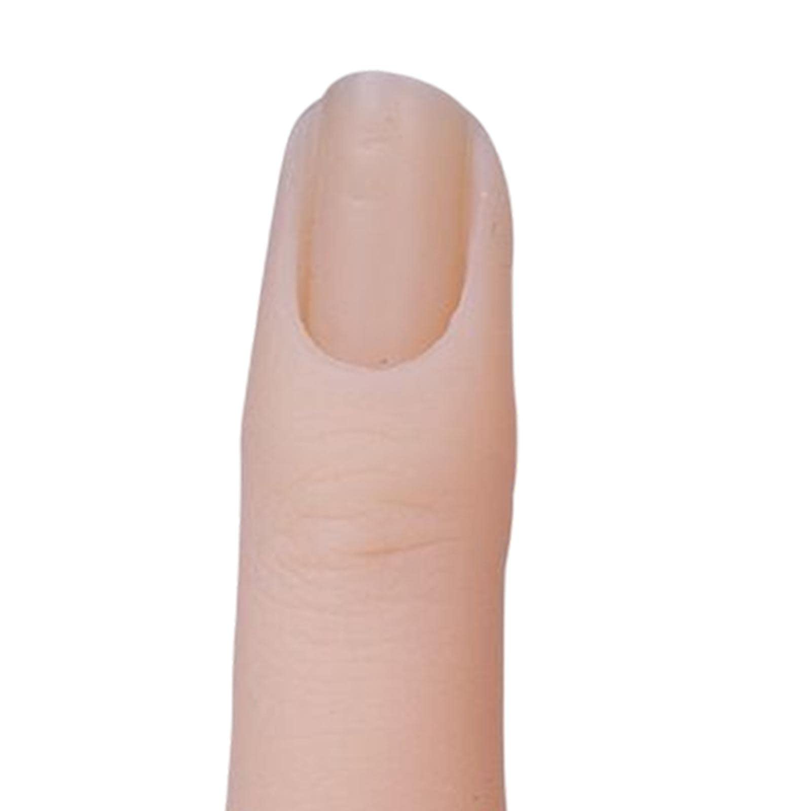 BNF Fake Fingernails for Manicure Practice - Beginner-Friendly Artificial Nails for Women | Nail Care & Training Tools | Perfect for Salon Practice, DIY Nail Art, and Display