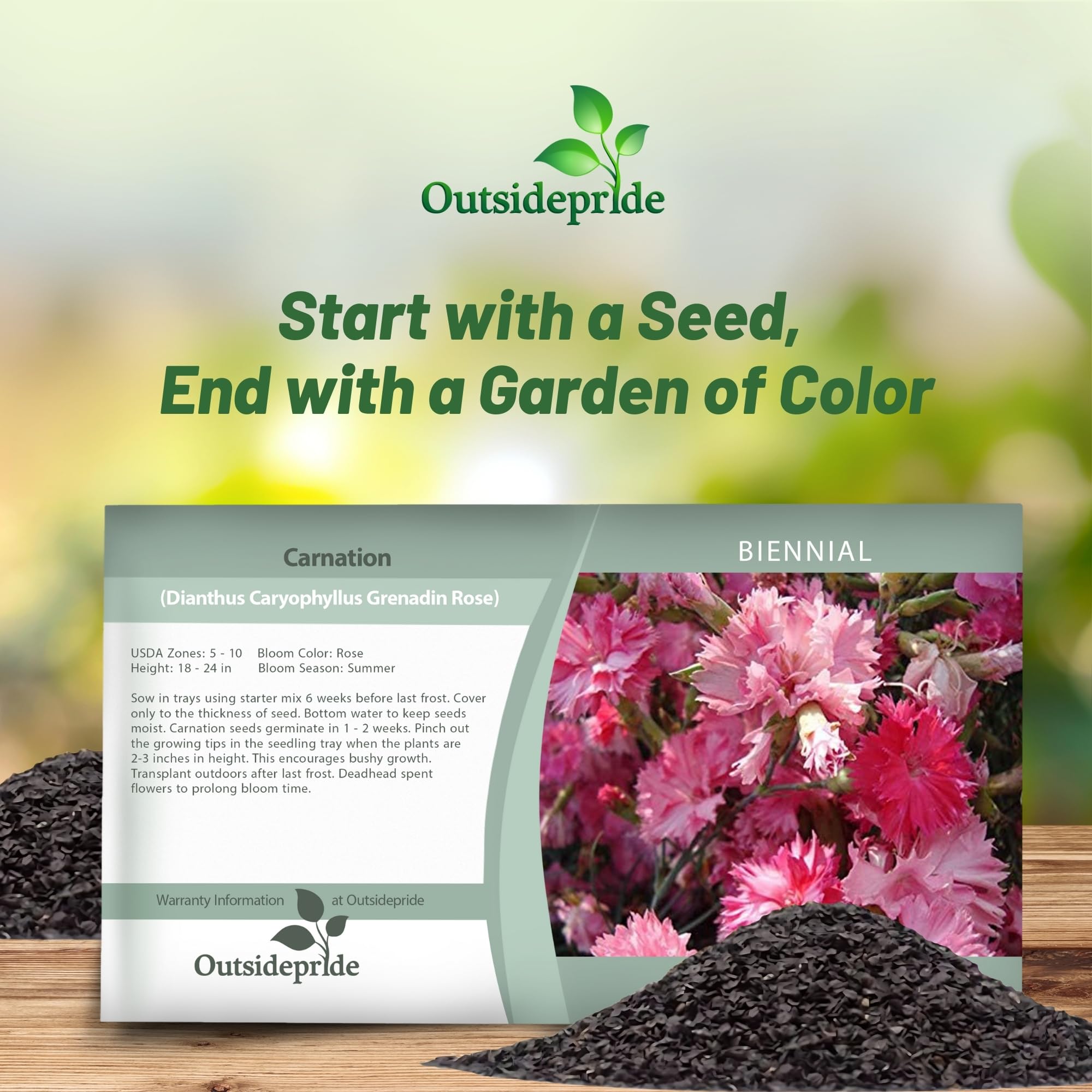 Outsidepride 2000 Seeds Perennial Dianthus Rose Carnation Flower Seeds for Planting - Beautiful Garden Flowers for Landscaping, Borders & Cut Flower Arrangements
