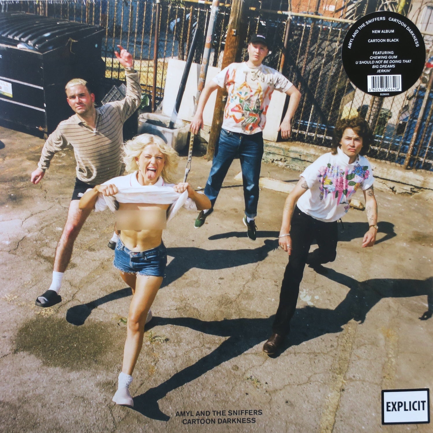 AMYL AND THE SNIFFERS 'Cartoon Darkness' BLACK Vinyl LP Record - Punk Rock Music Album for Collectors & Home Listening