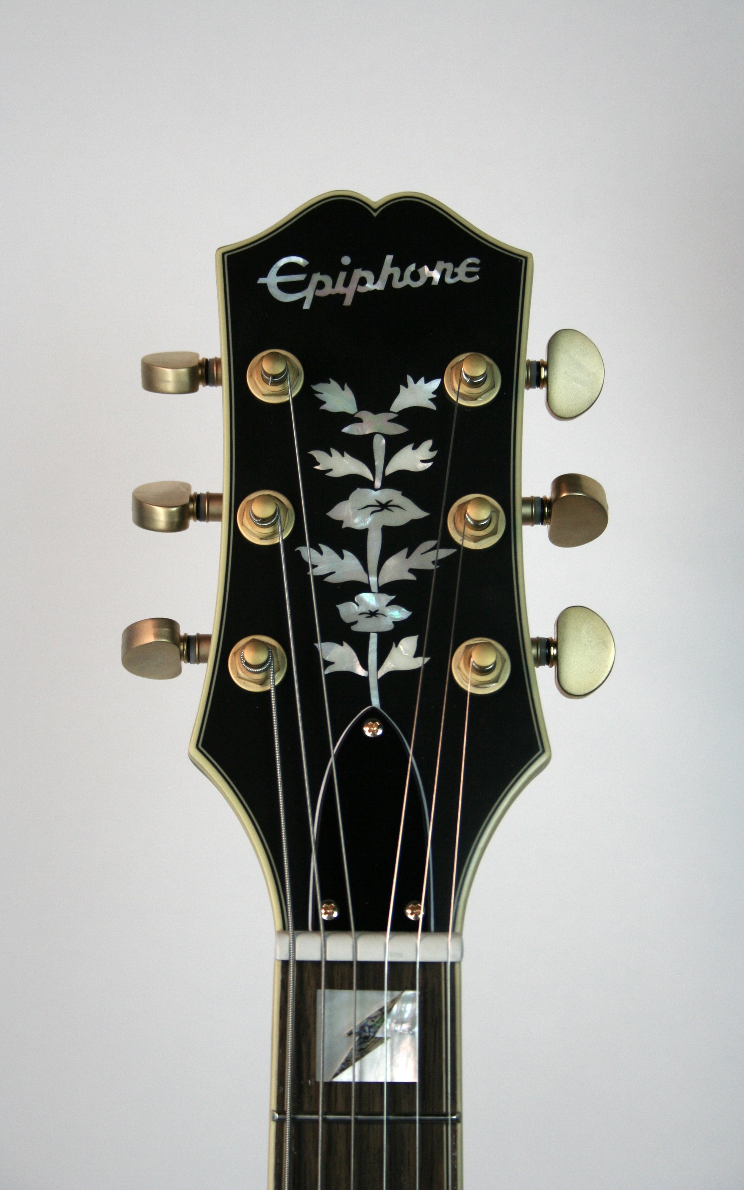 Emily Wolfe Sheraton Stealth Electric Guitar - Black Aged Gloss Finish | Professional Grade for Stage & Studio Performances