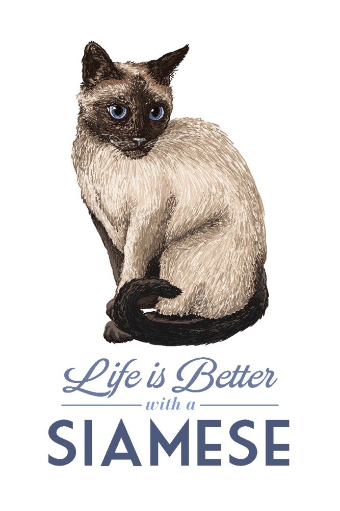 Siamese Cat Art Print - Life is Better Giclee Gallery Wall Decor (16x24) - Perfect for Home, Office & Travel Poster Collection