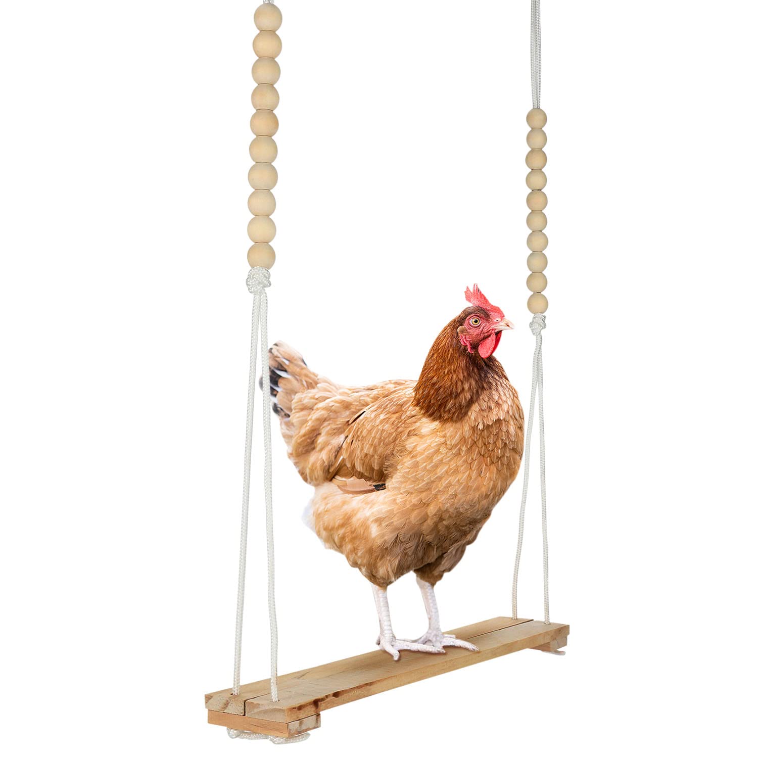 Natural Wooden Chicken Swing Toy for Coop - Handmade in USA, Large & Durable Poultry Accessory for Roosters, Hens & Chicks - Stress Relief & Entertainment for Birds - Perfect for Backyard Coops, Chicken Runs & Farm Animal Enrichment (CW&WC)