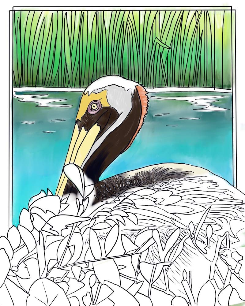 Davis Industries Adult Coloring Cards Set - 6 Unique Bird-Themed Greeting Cards with Envelopes | Relaxing Art Therapy for Stress Relief & Mindful Gifts