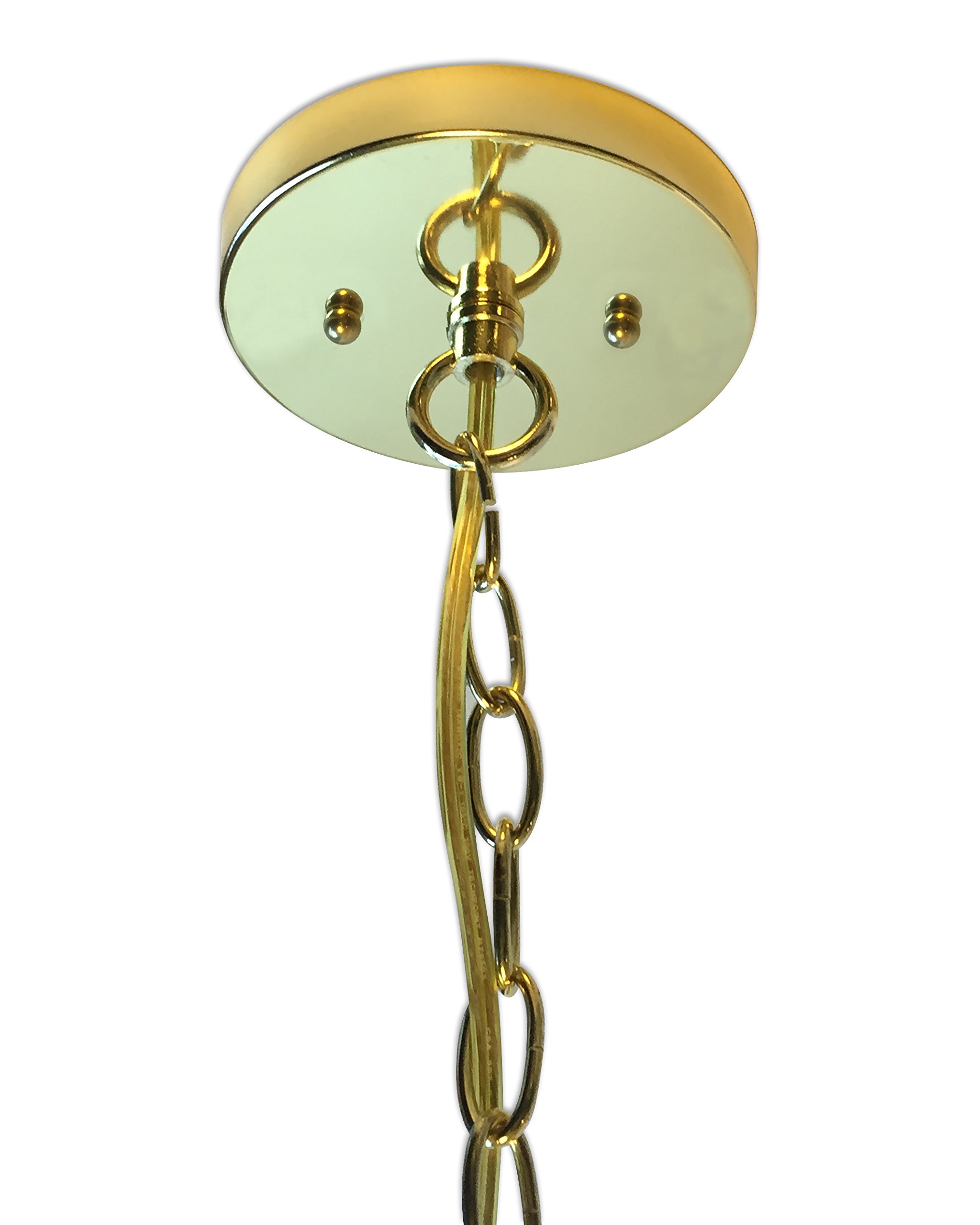 Holland Bar Stool Co. Long Beach State University Themed Pendant Light - Perfect for College Dorm, Game Room & Sports Bar Decor