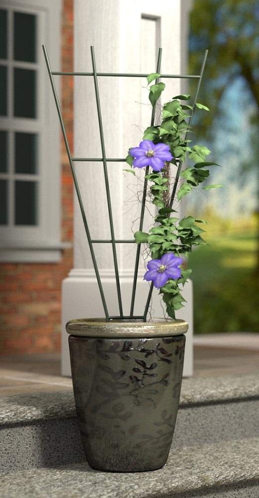 Panacea Products 36-Inch Green Fan Pot Trellis for Climbing Plants - Perfect for Indoor/Outdoor Garden Support, Vine Training, and Vertical Gardening