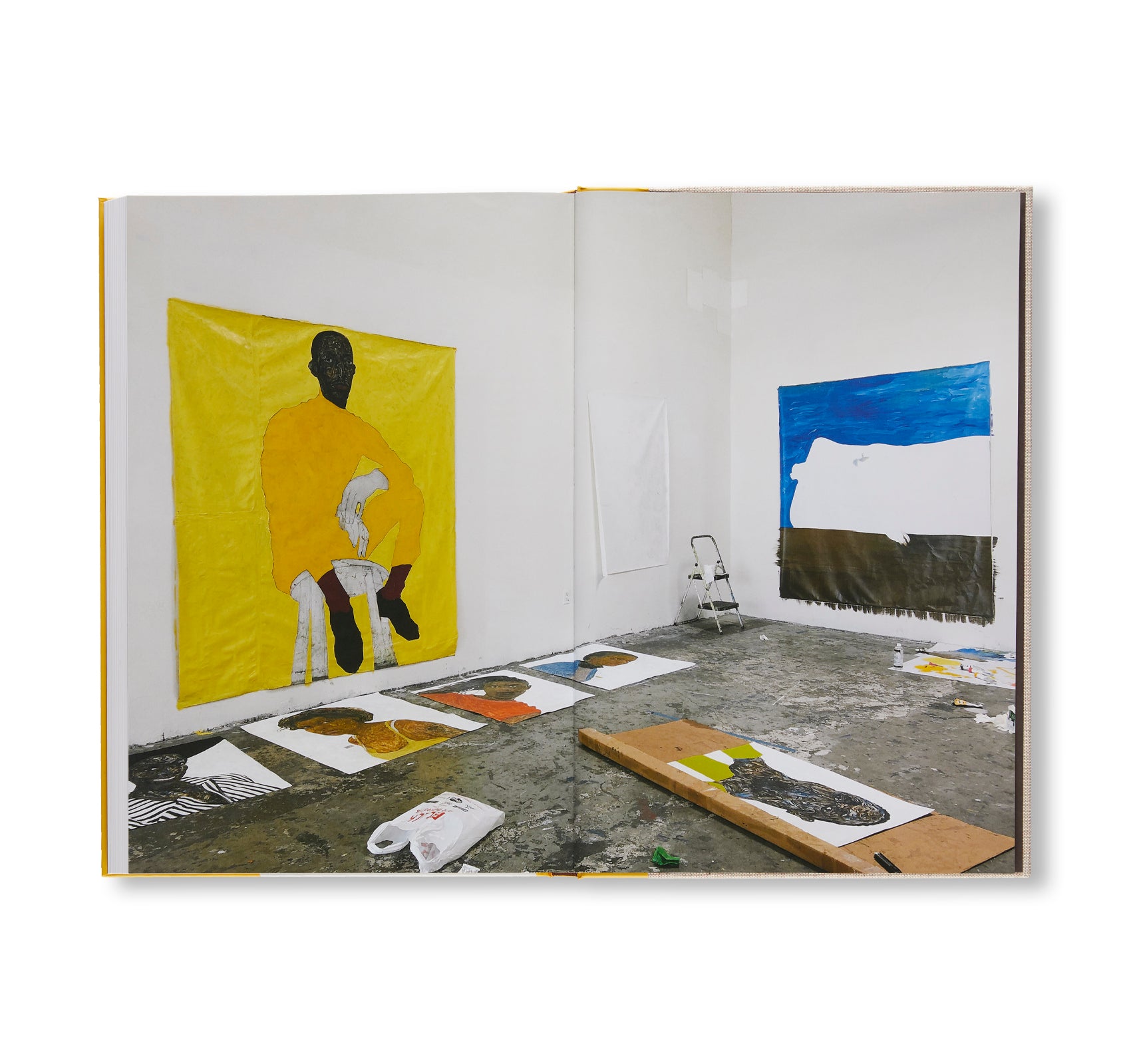 Amoako Boafo Original Artwork - Exclusive Paintings for Modern Home Decor & Art Collectors | Perfect for Living Rooms, Galleries & Office Spaces