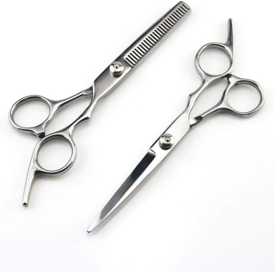 6 Inch Professional Hairdressing Scissors Set - Sharp Stainless Steel Barber Shears for Precision Hair Cutting - Silver (Great for Salon, Home Haircuts & Styling)