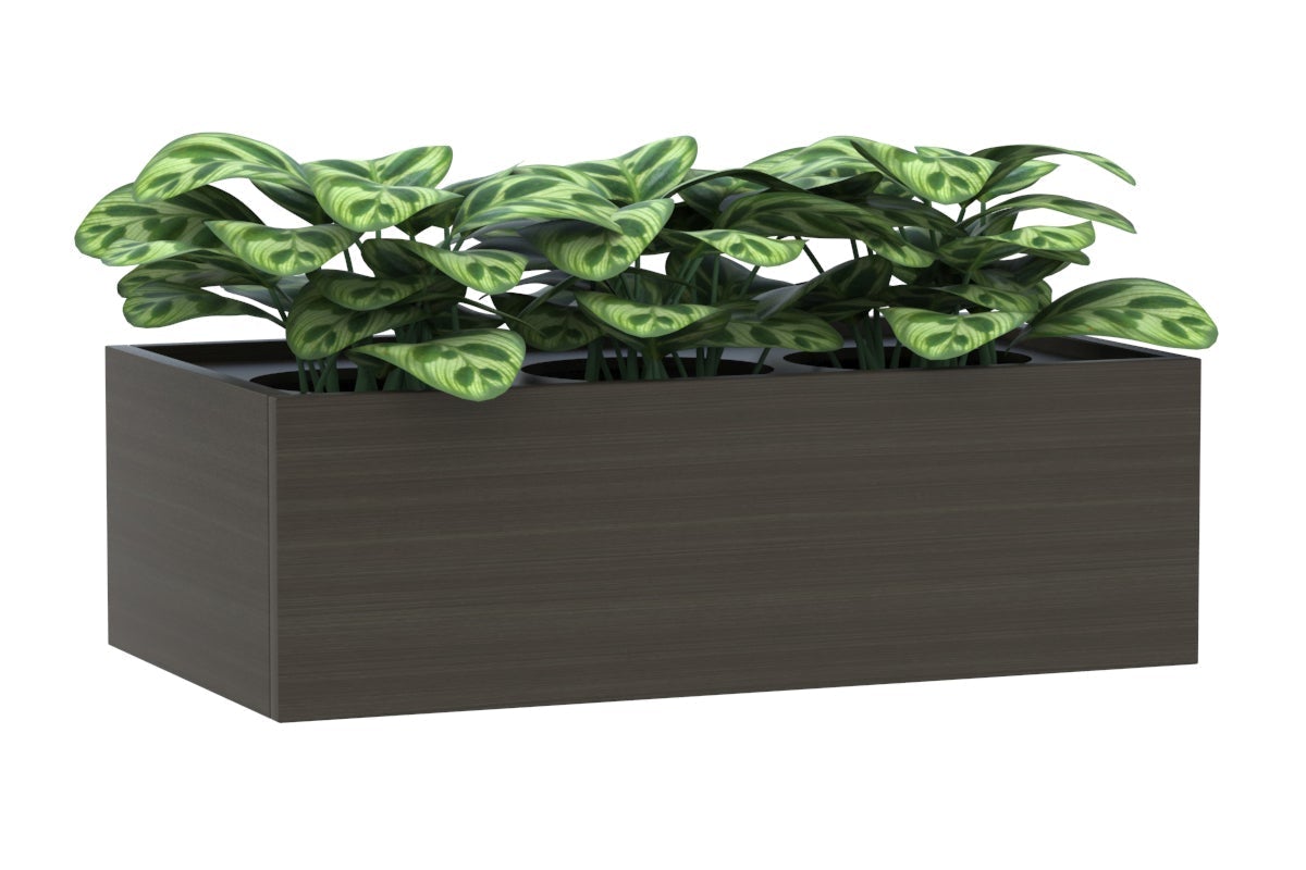 dark oak