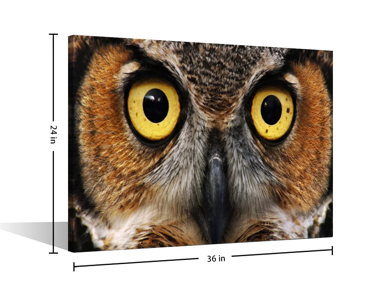 TUMOVO Wildlife Owl Wall Art - 36x24 Inch Framed Contemporary Painting, Modern Home Decor for Living Room, Bedroom & Office - Ready to Hang Stretched Canvas
