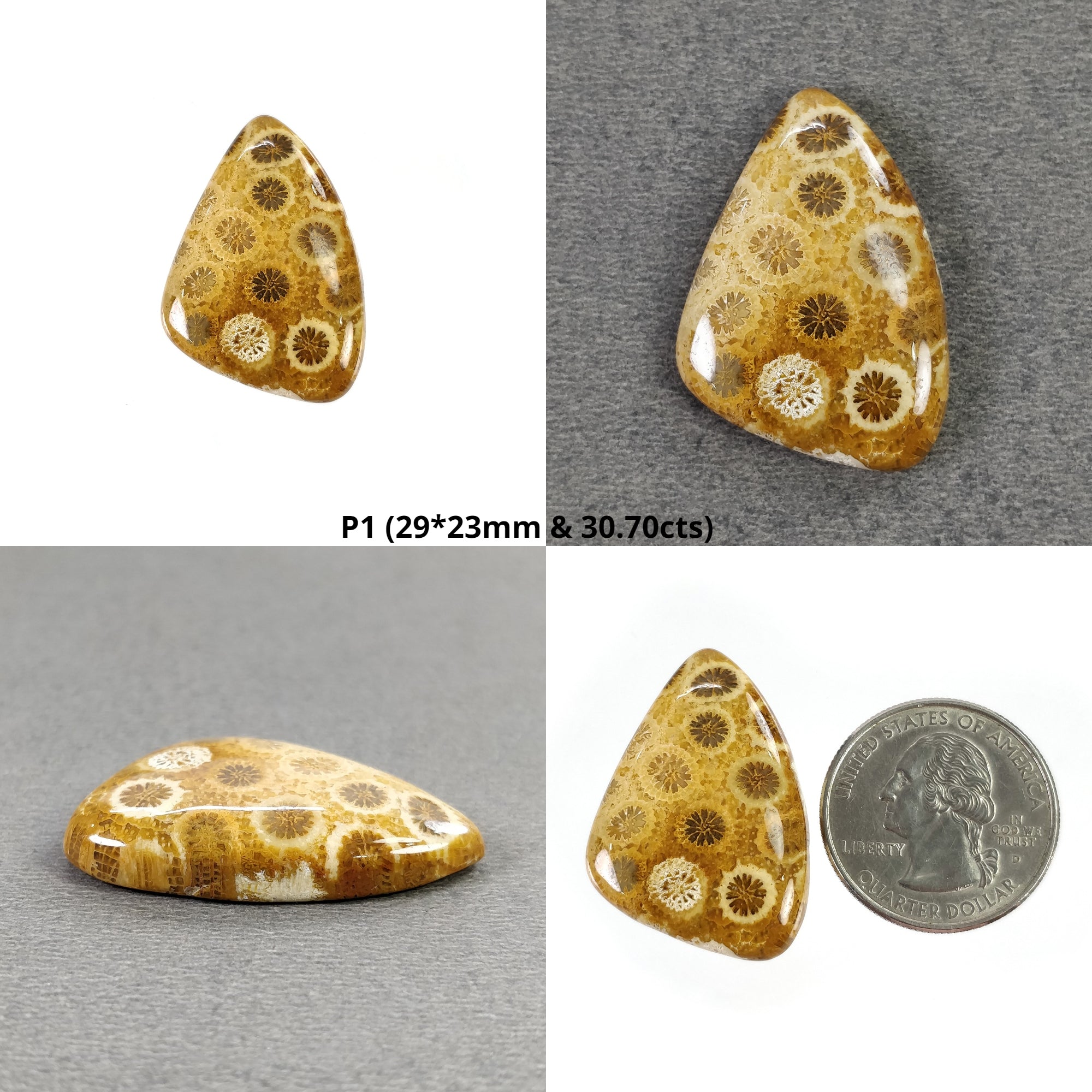Natural Untreated FOSSIL Coral Gemstone Cabochon - Unheated Oval Cushion Shape for Jewelry Making, Wire Wrapping & Healing Crystal Collection