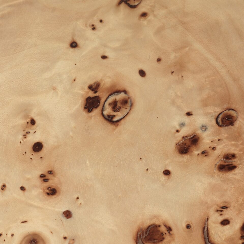 FERM LIVING Natural Burl Wood Coffee Table - Modern Scandinavian Living Room Furniture for Home Decor & Stylish Interior Design