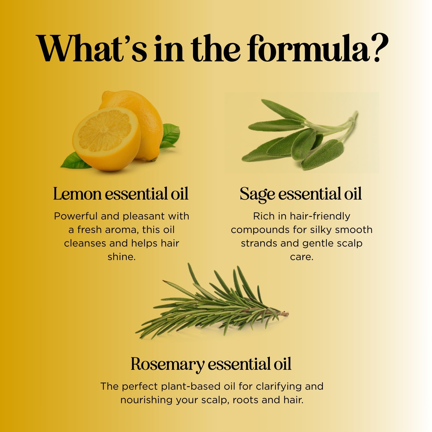 Honeydew Lemon Sage Shampoo - Natural Hair Cleanser for Dry & Damaged Hair | Hydrating & Nourishing Formula for Daily Use at Home or Salon