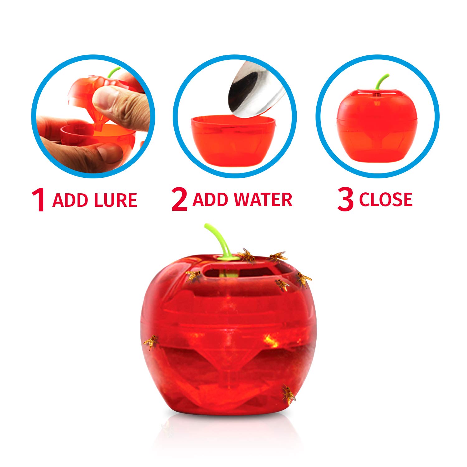 Raid Indoor Fruit Fly Traps with 2 Lures & 2 Refills - Safe Food-Based Fly Catcher for Kitchen, Bathroom - Effective Gnat Killer for Home Use | Easy to Use & Non-Toxic Fruit Fly Control Solution