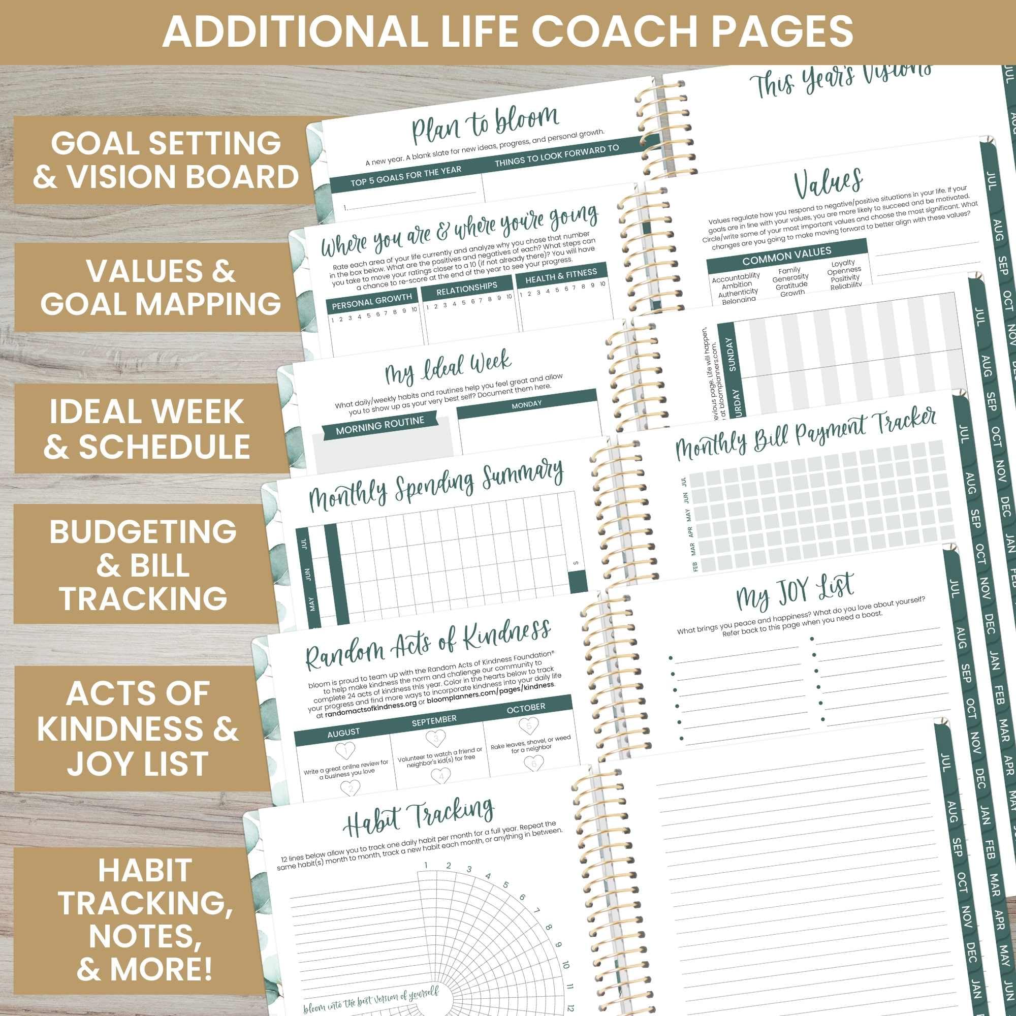 Bloom 2024-2025 Academic Planner (July 2024-July 2025) - 5.5