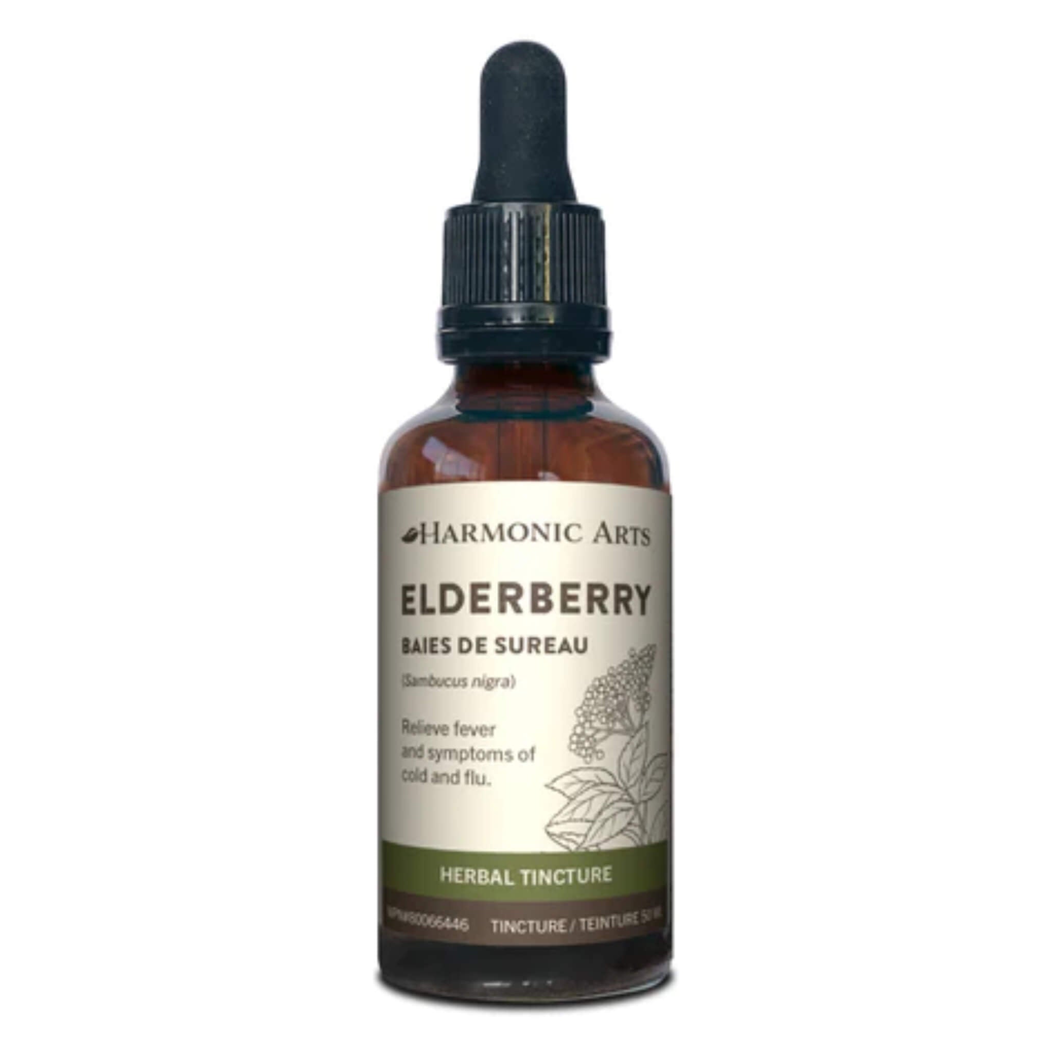 Organic Elderberry Syrup 50ml - Immune Support Supplement for Adults & Kids - Rich in Antioxidants & Vitamin C - Great for Cold & Flu Season, Daily Wellness Boost