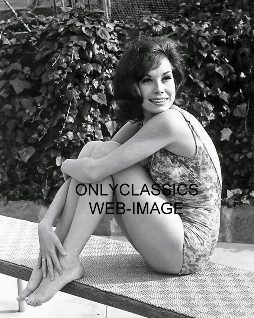 Vintage Mary Tyler Moore Swimsuit Pinup Photo - 8x10 Retro Cheesecake Poster for Poolside Decor & Classic Hollywood Memorabilia