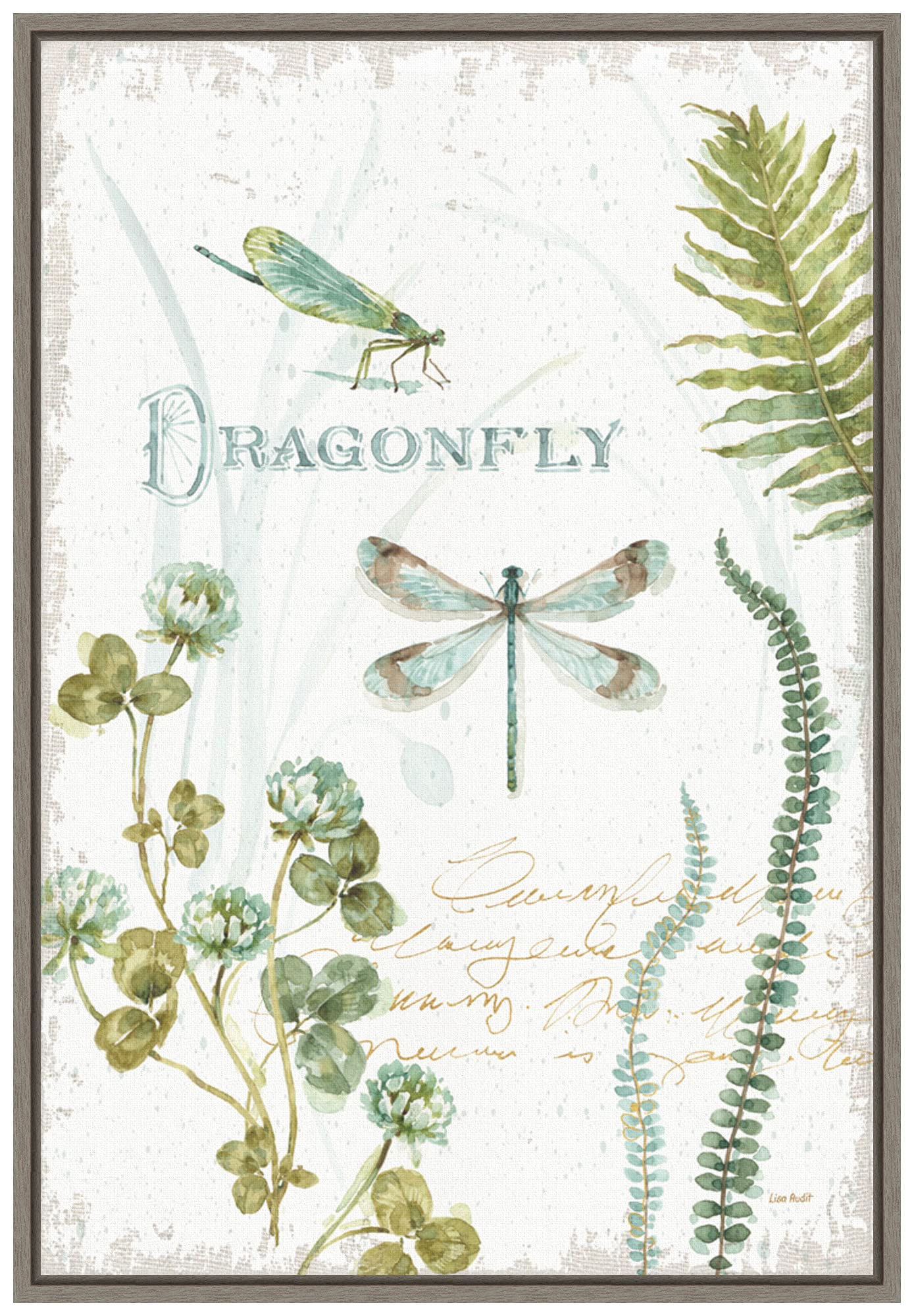 Amanti Art Framed Canvas Wall Art Print - My Greenhouse Botanical Dragonfly by Lisa Audit, 16x23 Inches, Sylvie Greywash Frame - Home & Office Decor, Living Room, Bedroom Wall Art