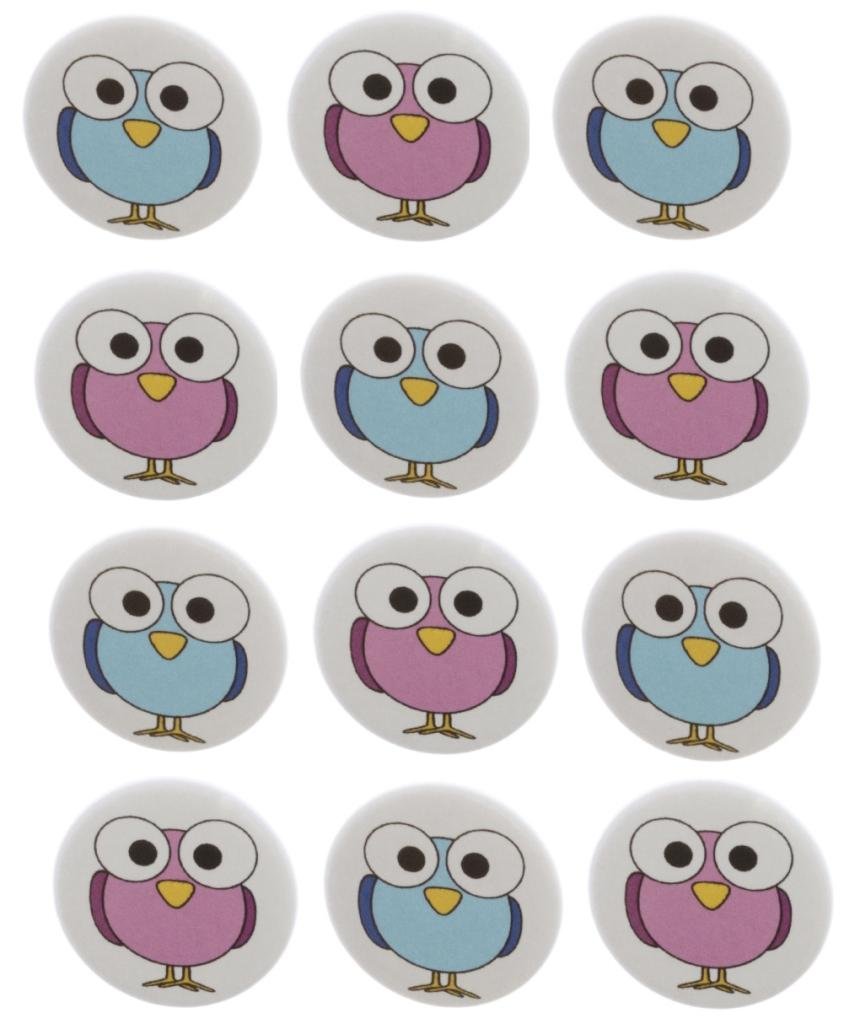 12 Pack Owl Gender Reveal Party Buttons - Pink & Blue 1.25
