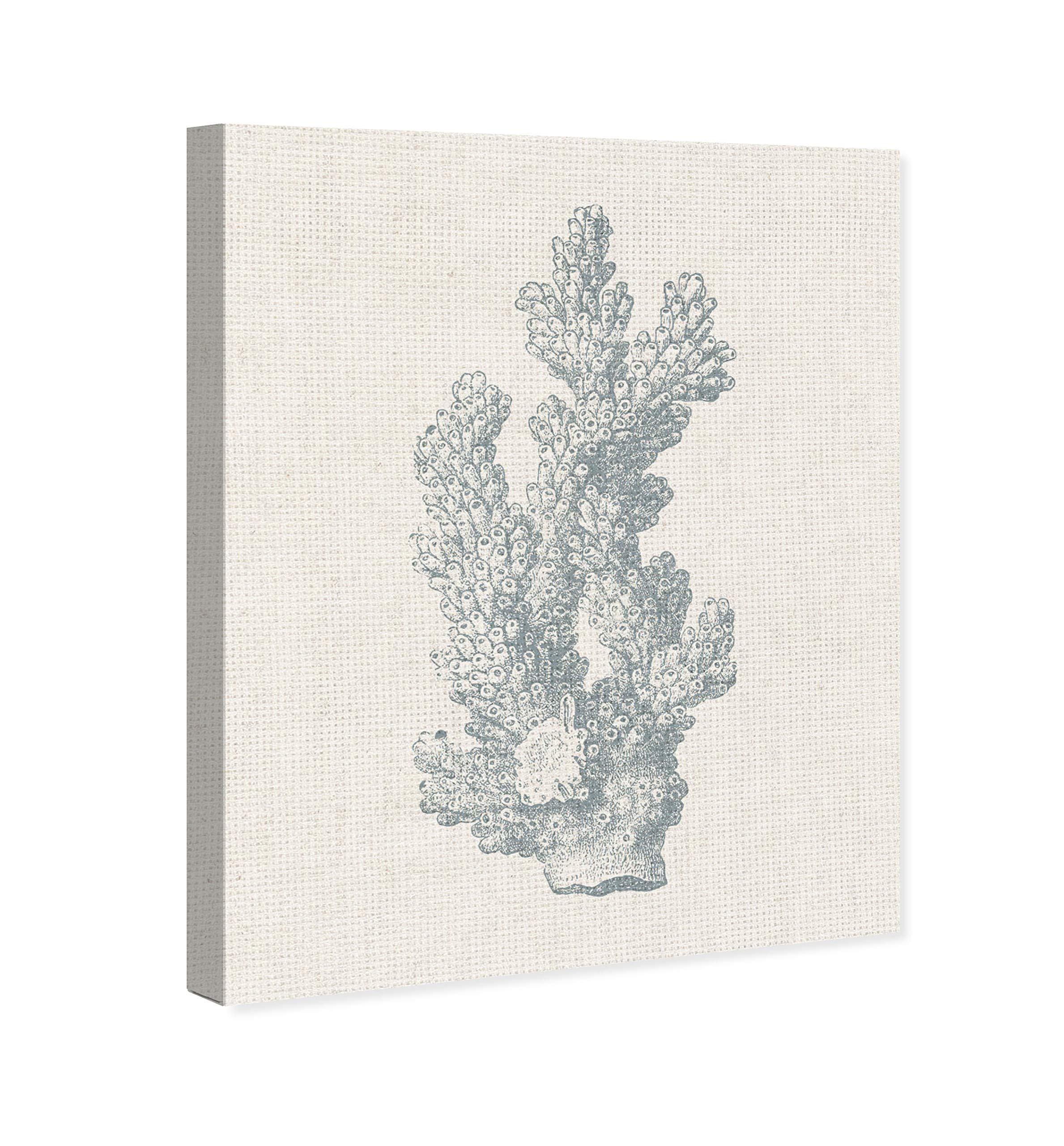 Oliver Gal Artist Co. Coastal Coral Wall Art Canvas Print - 30