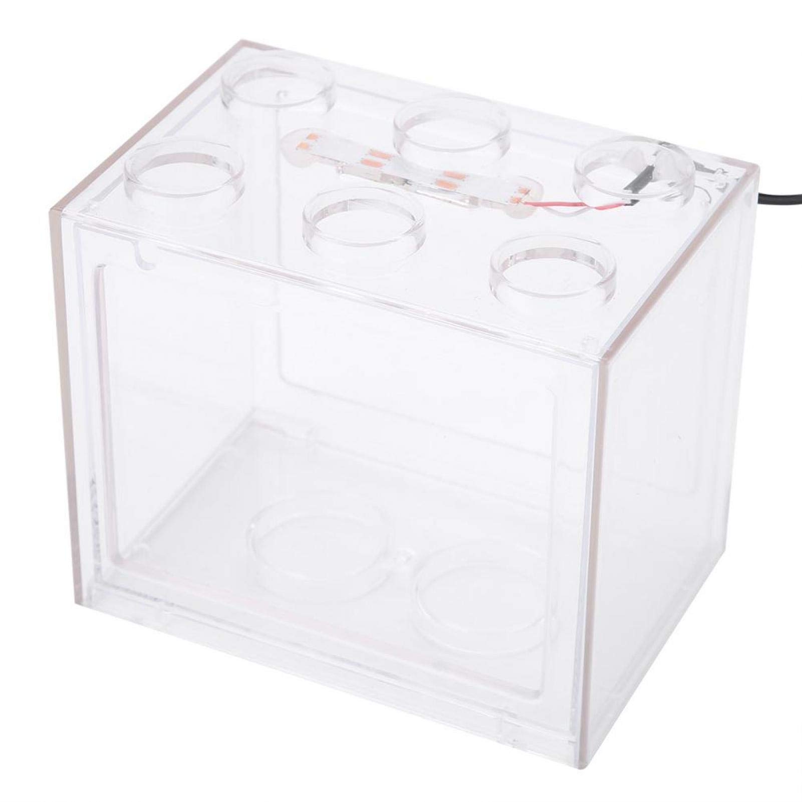 Decorative Mini Aquarium for Home & Office Desk | Small Fish Tank with LED Light | Perfect for Relaxation, Stress Relief & Desktop Decor
