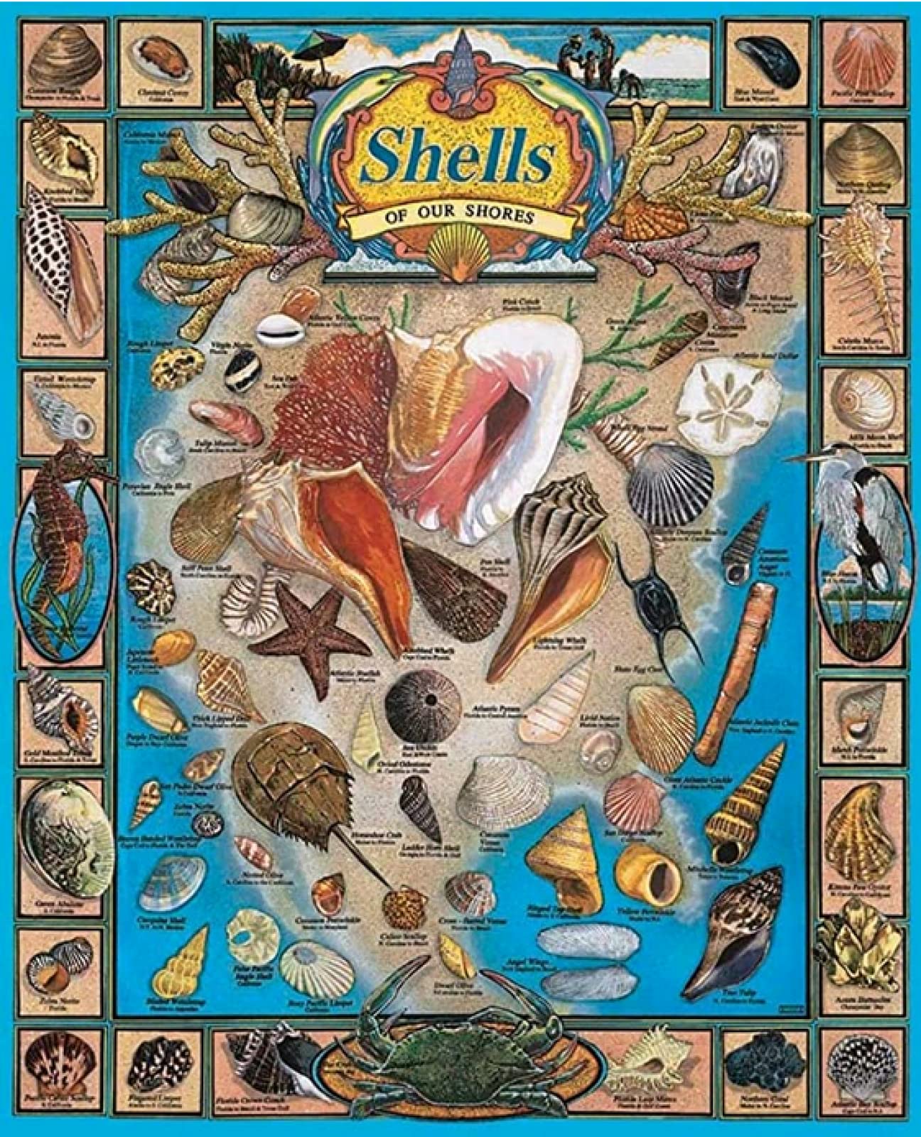 6000-Piece Wooden Jigsaw Puzzle for Adults - Shell Variety Large Puzzle, Fun Family Game & Brain Teaser - Perfect for Home Decor, Relaxation, and Group Bonding Activities