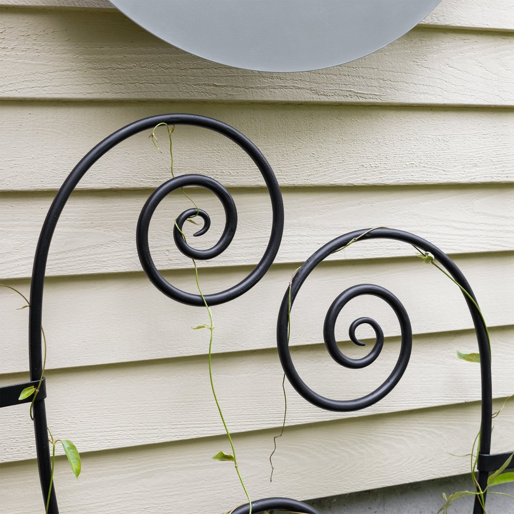 Luna Trellis by Achla Design - Elegant Garden Trellis for Climbing Plants, Flowers & Vines | Perfect for Outdoor Gardens, Patios & Backyard Decor