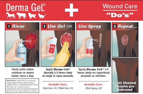 Veterinus Derma Gel® 100mL (3.4 fl.oz) - 5 Pack Pro Bundle with $25 Savings | Soothing Skin Treatment for Dogs & Cats | Perfect for Hot Spots, Allergies & Post-Surgery Care