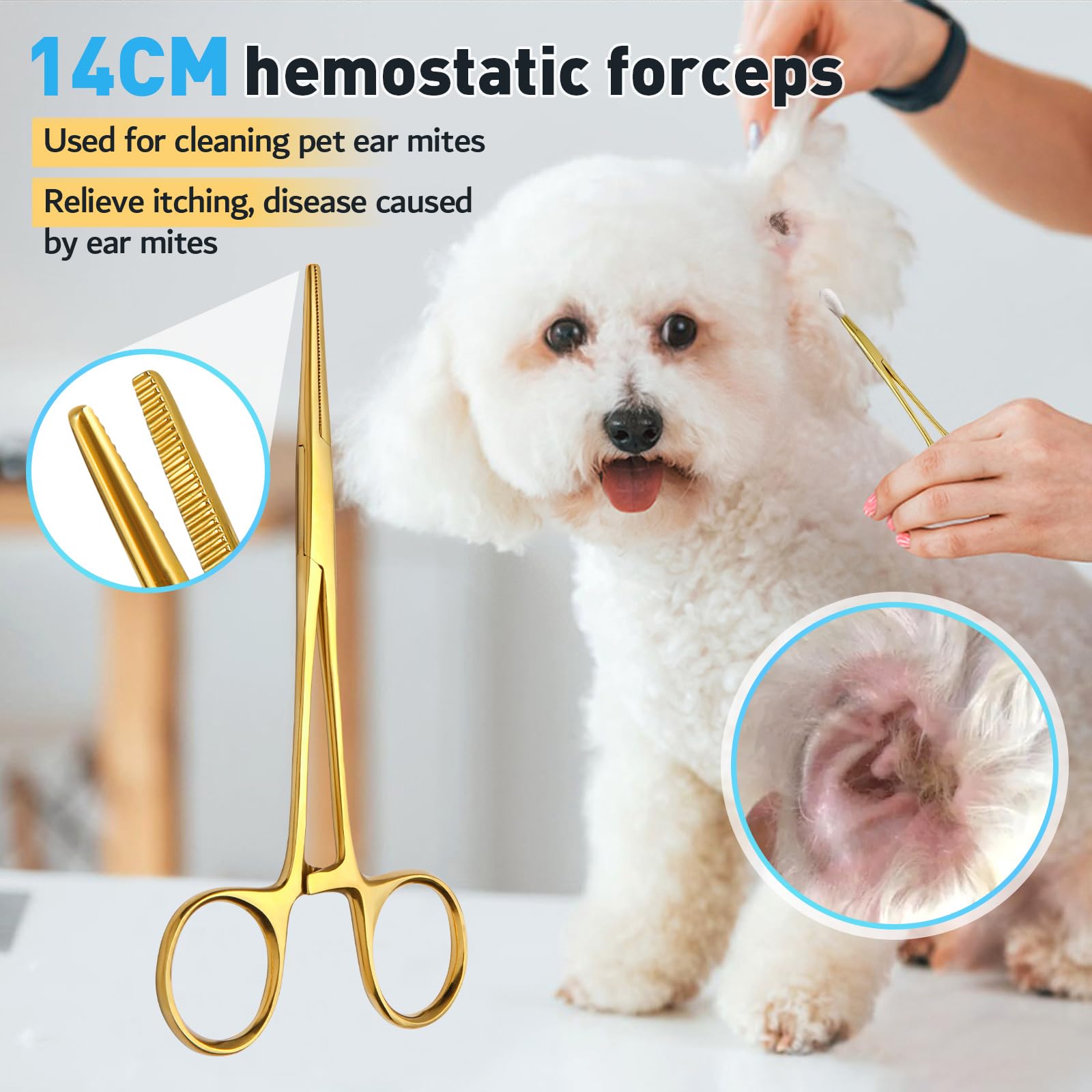 Professional Dog Grooming Scissors Set - 4 in 1 Curved & Thinning Shears with Safety Round Tips for Safe & Precise Pet Hair Cutting - Perfect for Home Grooming, Professional Styling & Dog Show Preparation