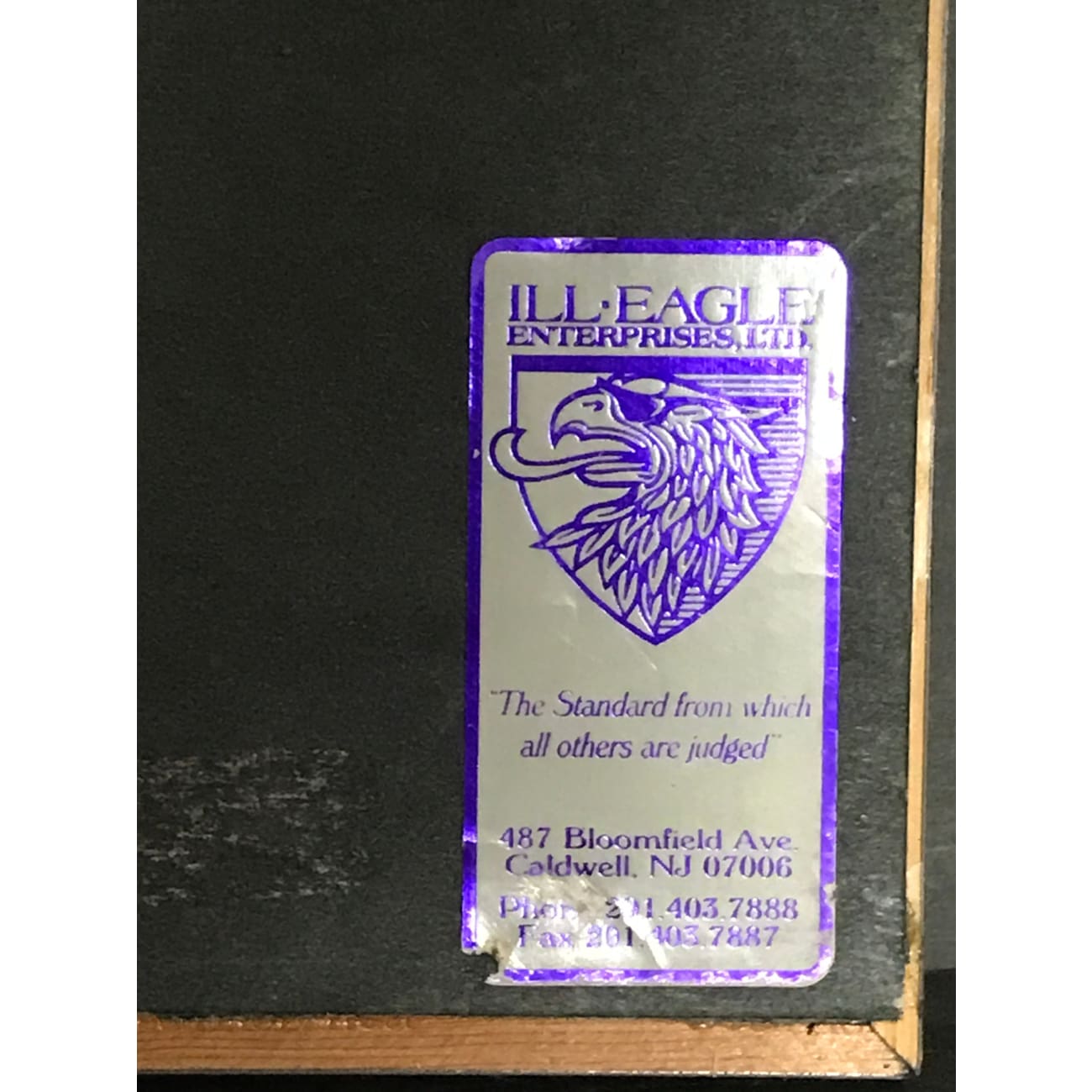 Annie Lennox Medusa RIAA Platinum Album Award - Certified Music Collectible for Fans & Display