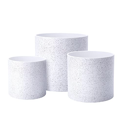 Speckled White