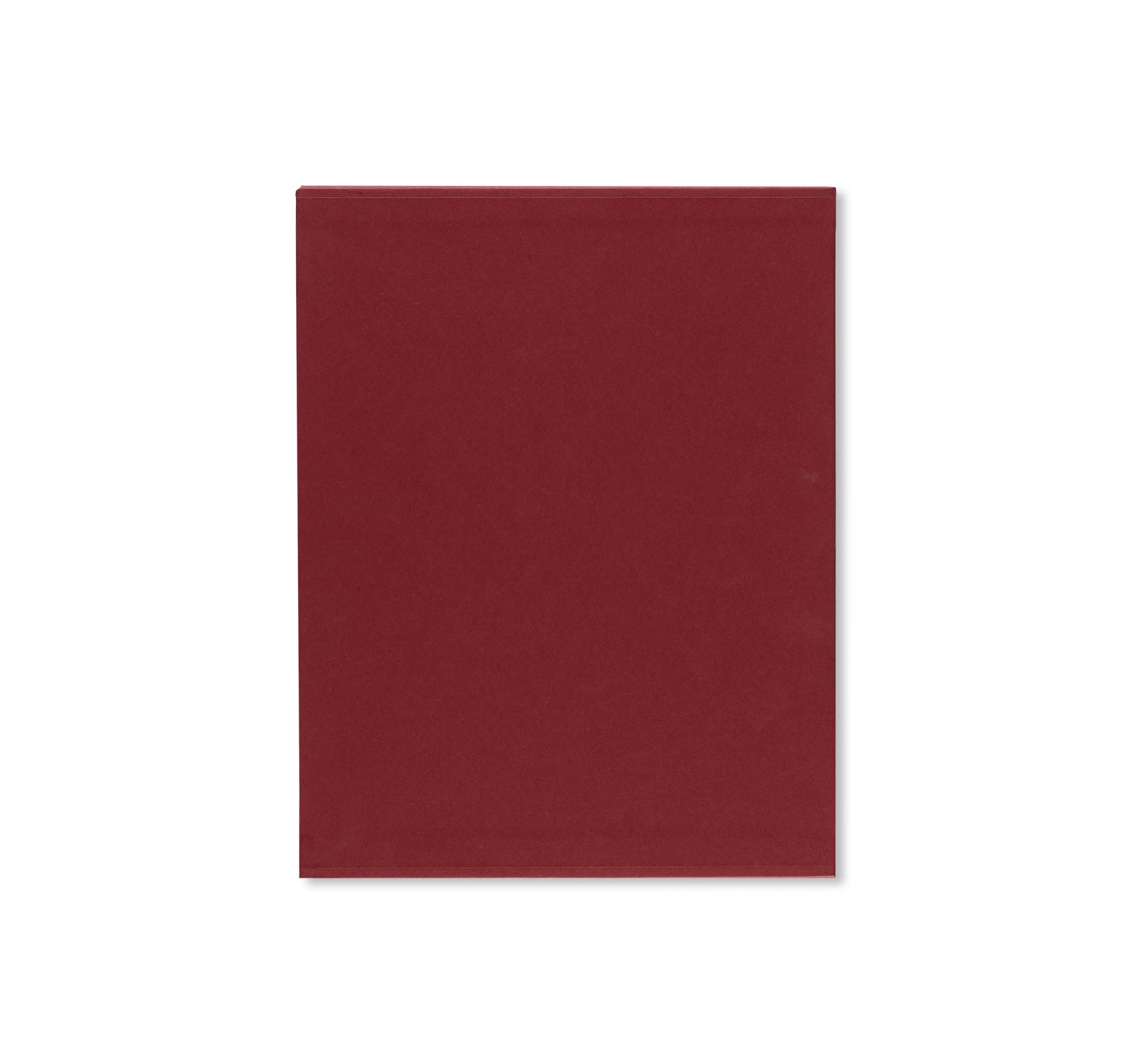 Luc Tuymans: Catalogue Raisonné of Paintings Volume 3 (2007-2018) - Art Book for Collectors & Scholars | Perfect for Art Galleries, Museums & Academic Research