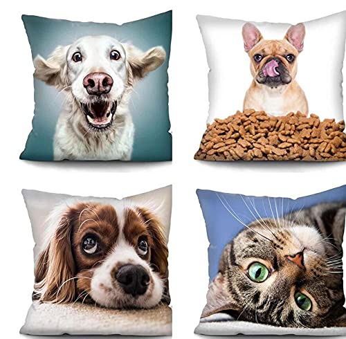Cute Dog & Cat Throw Pillow Cover - 17.7x17.7 Inch Decorative Polyester Pet-Themed Cushion Case for Sofa, Bed, Living Room & Home Decor - Perfect for Pet Lovers & Cozy Home Styling
