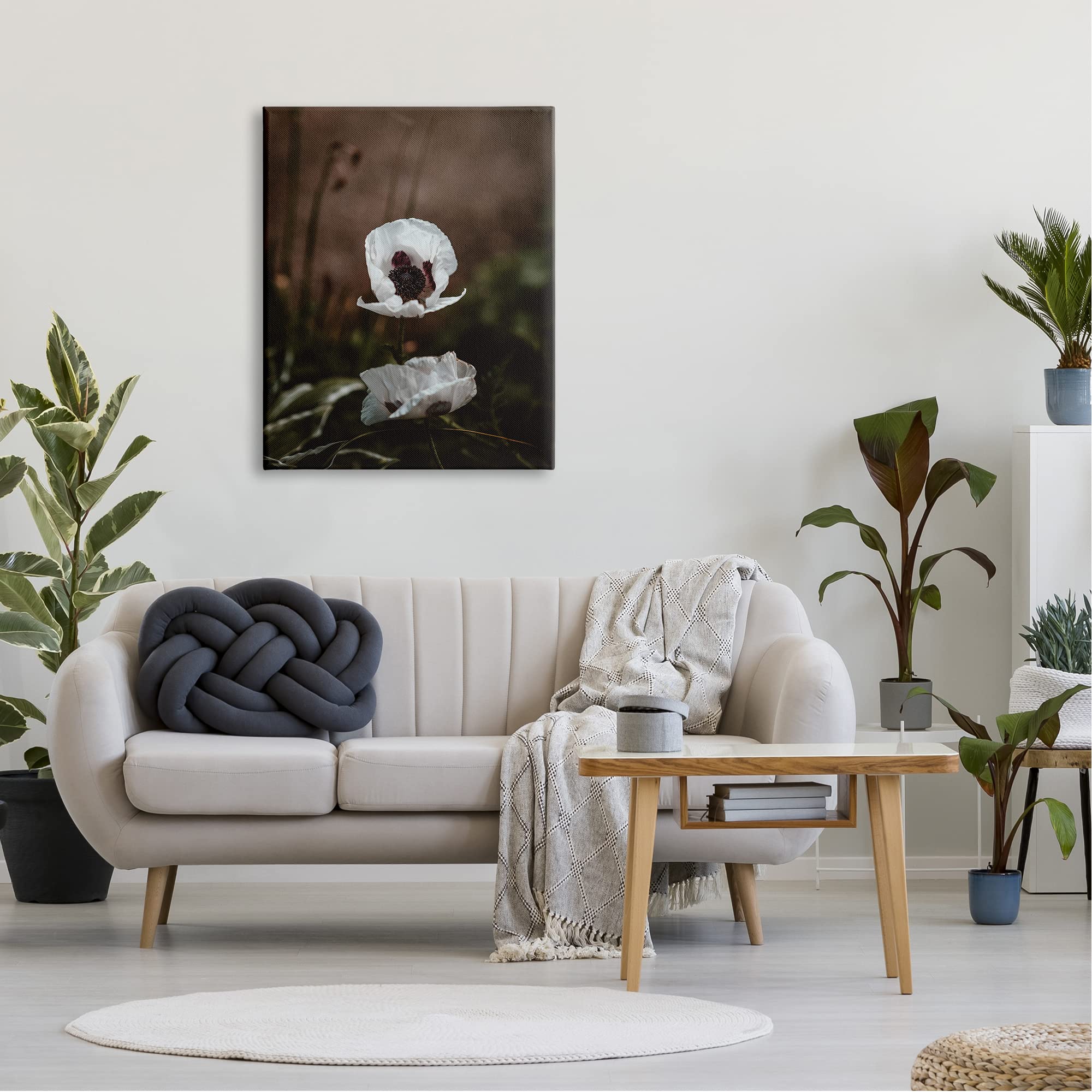 Stupell Industries Lonely White Flower Blossom Forest Photography Wall Art - Nature-Inspired Home Decor for Living Room, Bedroom & Office