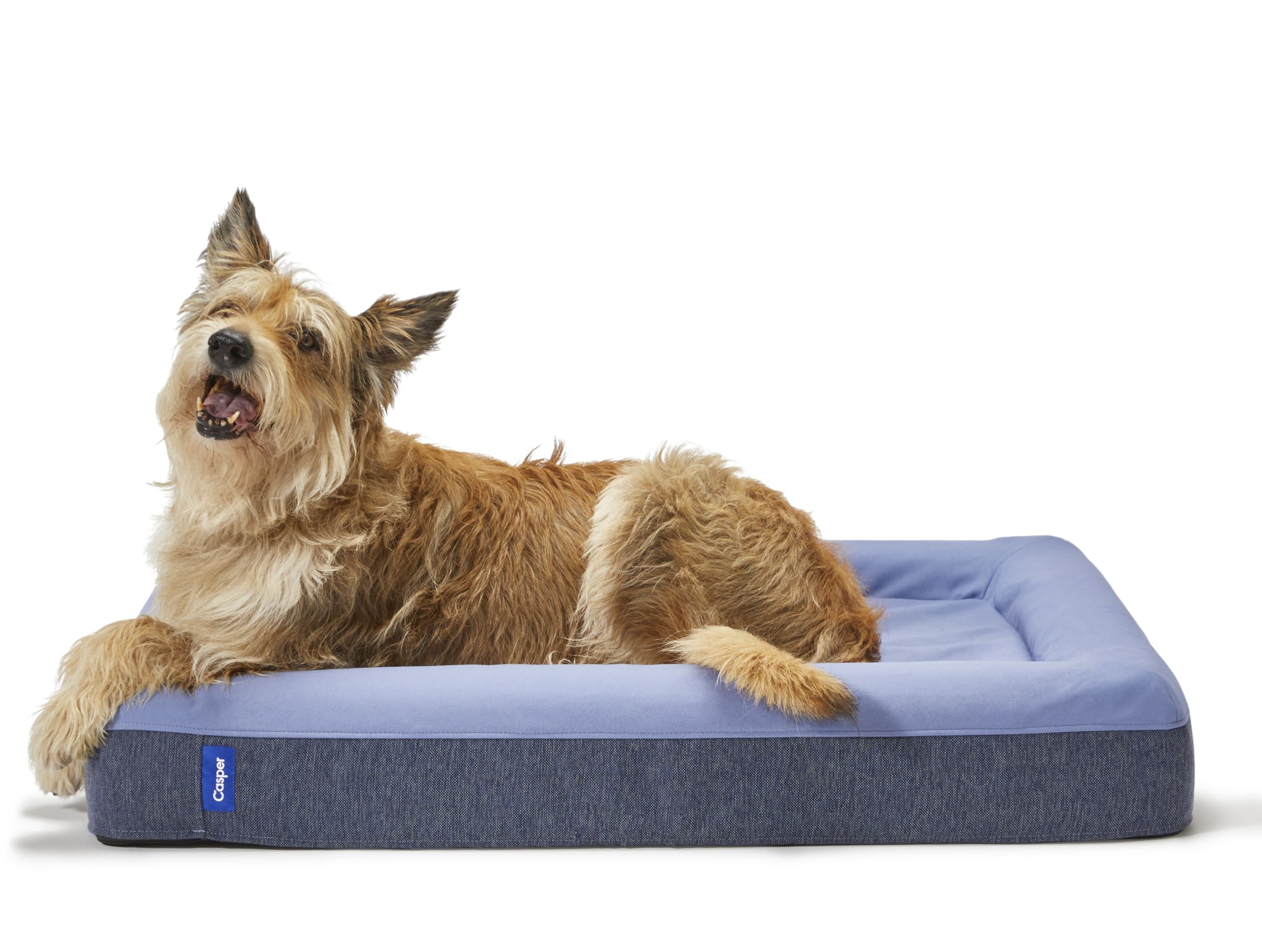 Premium Casper Dog Bed - Medium Size, Plush Memory Foam Pet Bed for Comfort & Support - Soft Blue Color - Perfect for Living Room, Bedroom or Crate Use