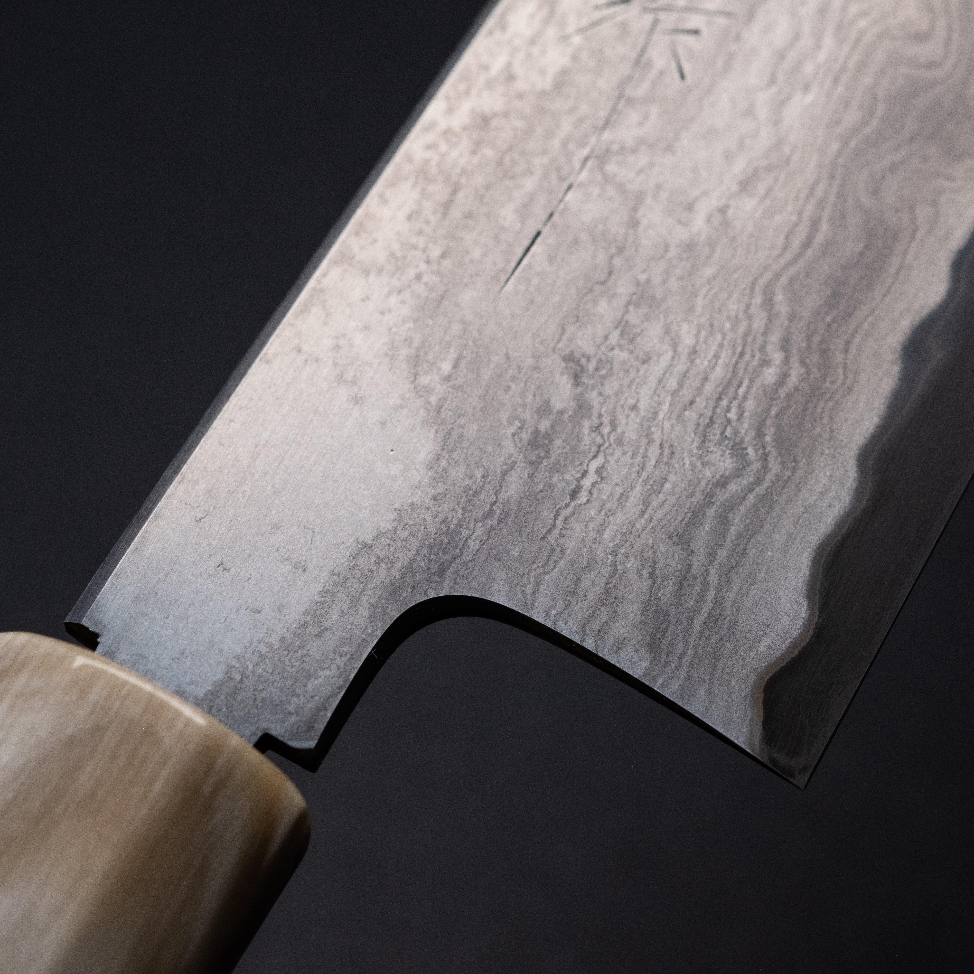 Premium Tetsujin Blue #2 Steel Gyuto Chef Knife 210mm with Taihei Rosewood Handle - Perfect for Sushi, Meat Slicing & Professional Kitchen Use