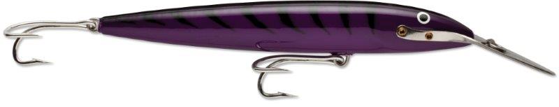 PURPLE MACKEREL