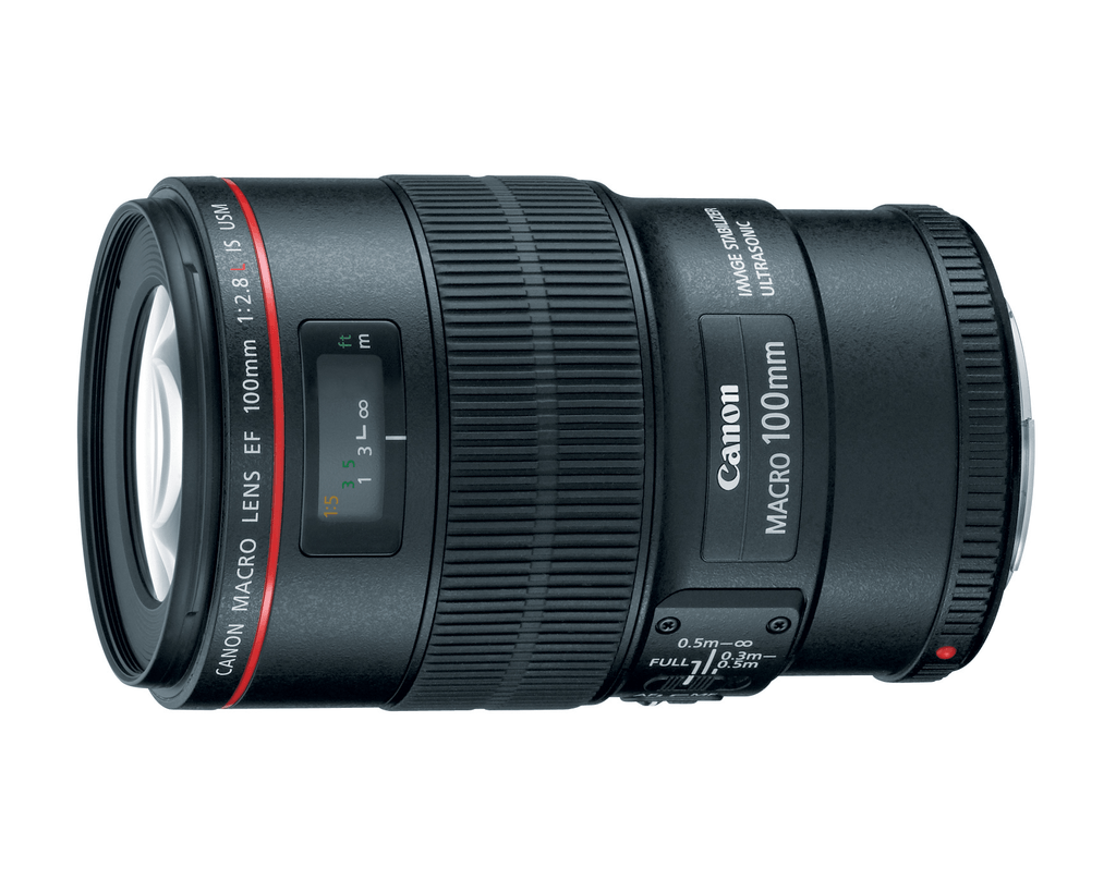 Canon EF 100mm f/2.8L Macro IS USM Lens - Professional Macro Photography for DSLR Cameras (Open Box) | Perfect for Product, Jewelry & Nature Photography