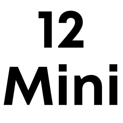 iPhone 12 Mini