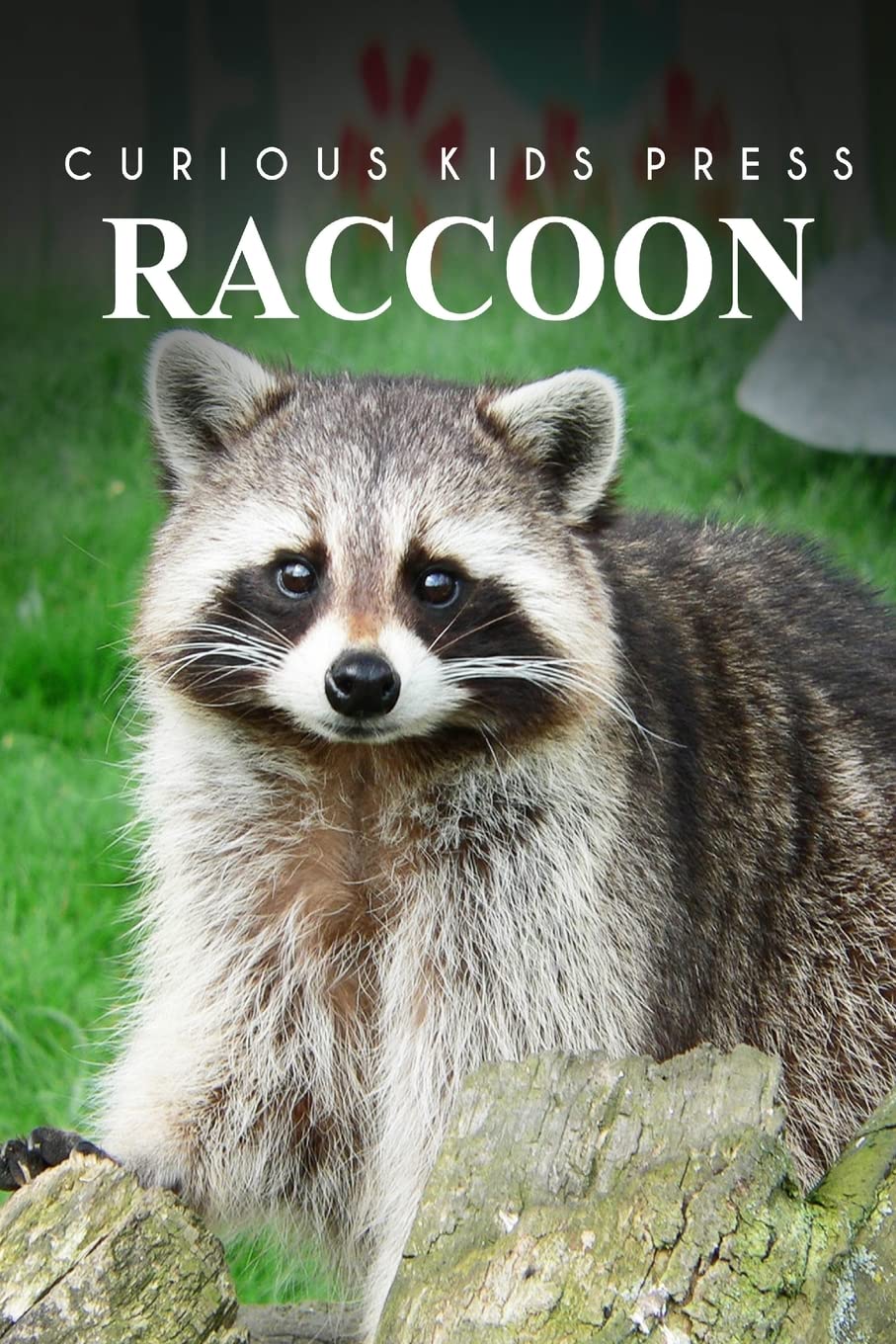 Fun Raccoon Facts Book for Kids - Educational Wildlife Reading for Curious Children | Perfect for Homeschooling & Nature Exploration